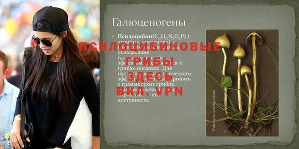 дмт Балахна