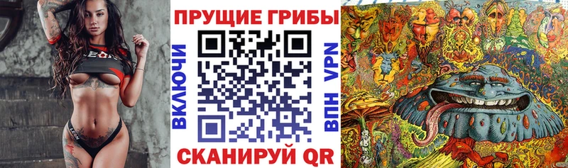 ссылка на мегу ссылки  Городище  Галлюциногенные грибы ЛСД  купить наркотики сайты 